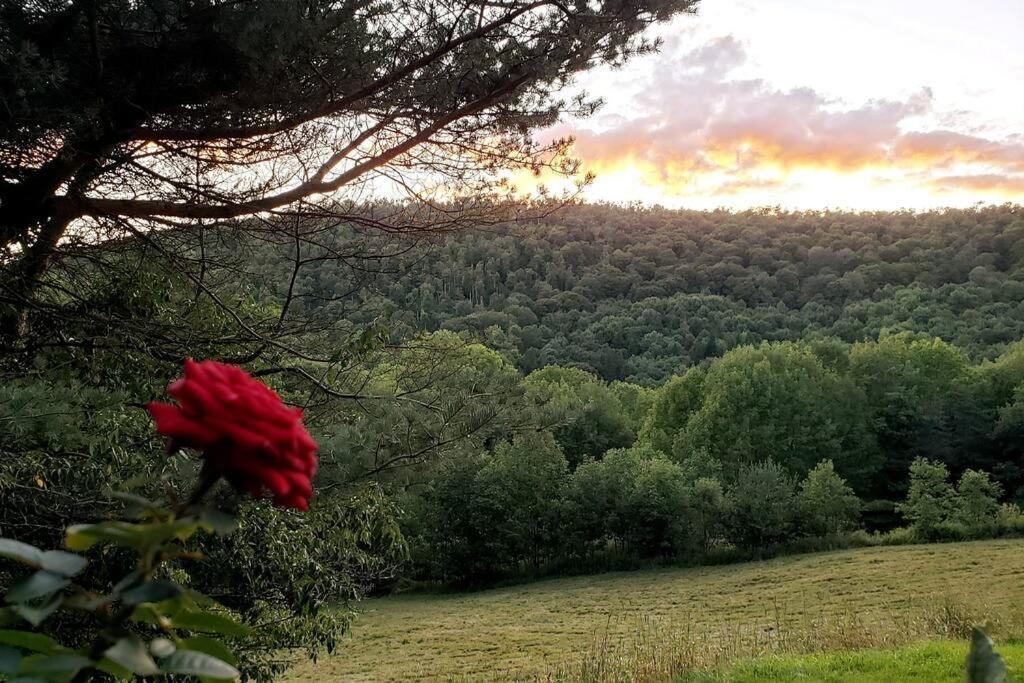 Vila Breathtaking Views. Hot Tub. Huge Deck. Fast Wifi Andes Exteriér fotografie